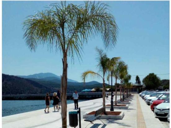 Elektra'S Apartment Central With Parking Argostoli  Eksteriør bilde
